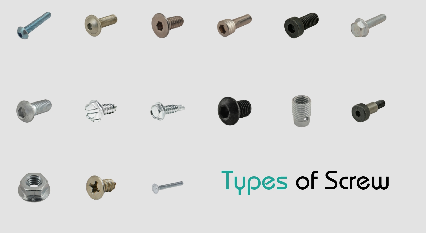 types-of-screw Types of Screw